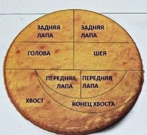 Торт - дракошка! Ингредиенты: 01 Торт - дракошка! Ингредиенты: 01