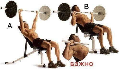 Как сделать мощные мускулистые плечи (упражнения). 03 Как сделать мощные мускулистые плечи (упражнения). 03