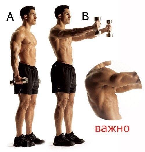 Как сделать мощные мускулистые плечи (упражнения). 07 Как сделать мощные мускулистые плечи (упражнения). 07