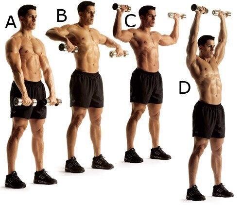 Как сделать мощные мускулистые плечи (упражнения). Как сделать мощные мускулистые плечи (упражнения).