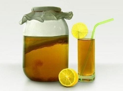 Секреты чайного гриба. Секреты чайного гриба.