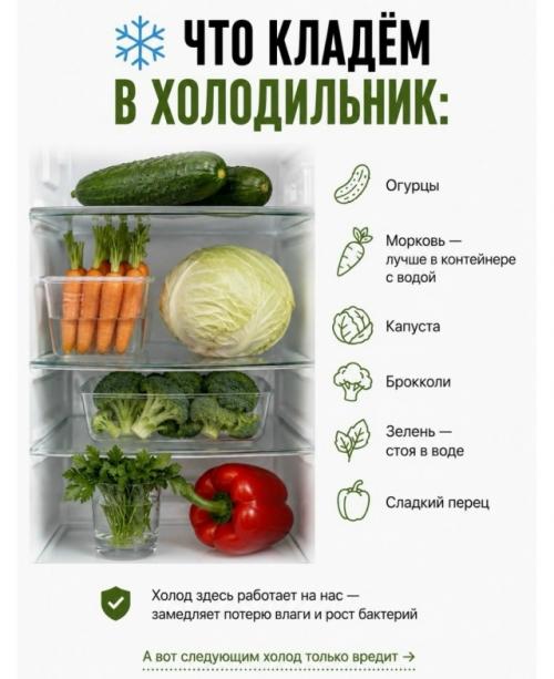 Вы покупаете свежие овощи а через 2 дня они уже в мусорке, знакомо? 04
