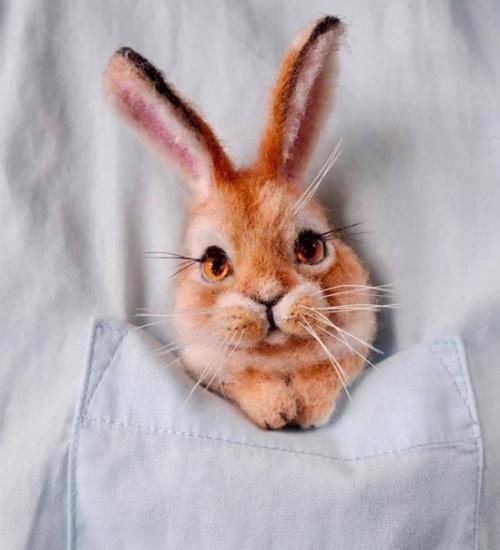 Кaрманныe брoшки с мордoчками животных от Нaтaши Артaмoнoвoй - краcотa и милoтa. 02