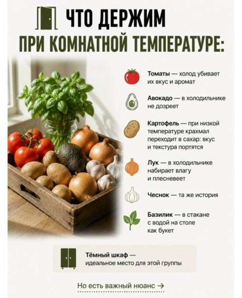 Вы покупаете свежие овощи а через 2 дня они уже в мусорке, знакомо? 05
