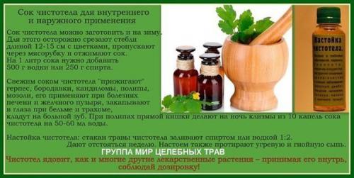 Лечение рака чистотелом. 07 Лечение рака чистотелом. 07