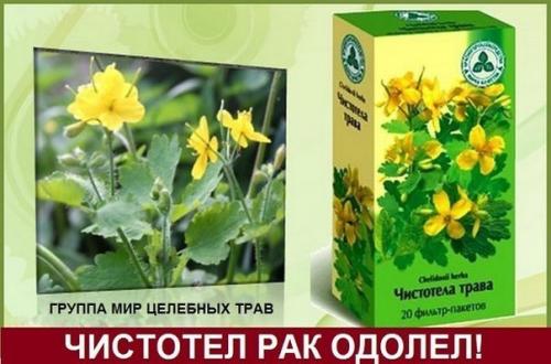 Лечение рака чистотелом. Лечение рака чистотелом.