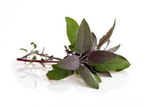 8 специй для здоровья.