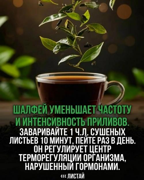 К 51 году женщина теряет 90% эстрогена, но организм подает предупреждающие сигналы еще много лет. 05