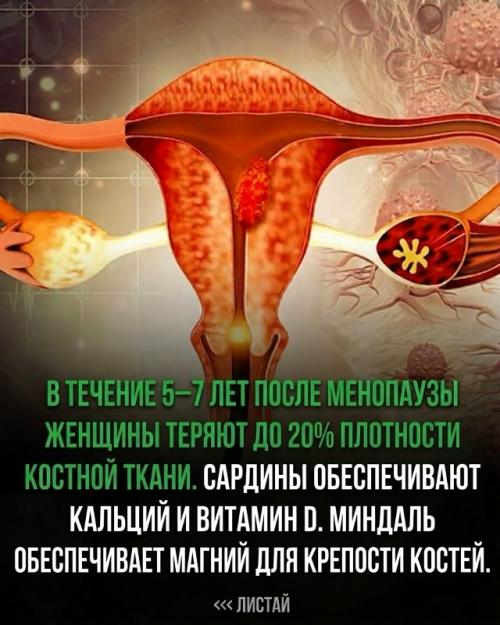 К 51 году женщина теряет 90% эстрогена, но организм подает предупреждающие сигналы еще много лет. 04