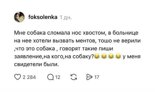 В сети завирусилась ветка с историями о самых нелепых обращениях в травмпункт. 03