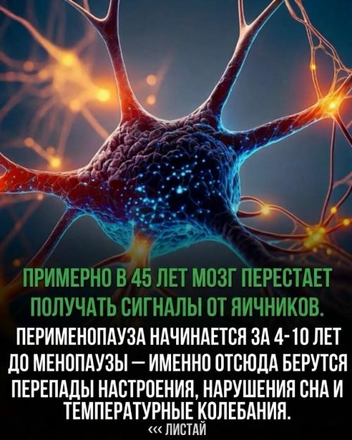 К 51 году женщина теряет 90% эстрогена, но организм подает предупреждающие сигналы еще много лет. 01