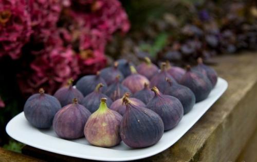 Сама природа дает нам свои плоды, которые станут помощниками в сохранении молодости и красоты. 
