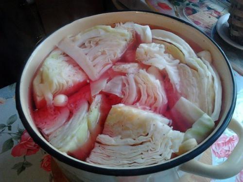 Капуста по - Гурийски. 01 Капуста по - Гурийски. 01