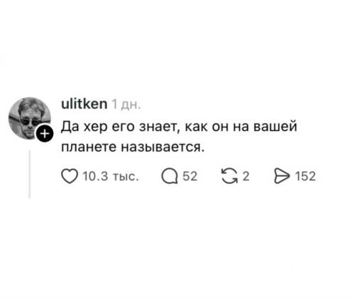 Пользователь выложил снимок цветка с дачи матери и поинтересовался у подписчиков названием растения. 01