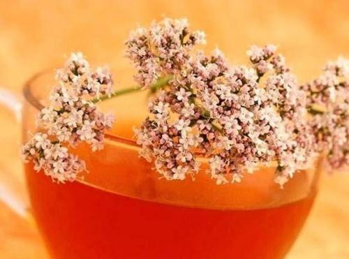 Полезно знать! Отвар трав для укрепления стенок сосудов. Полезно знать! Отвар трав для укрепления стенок сосудов.