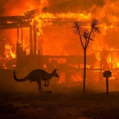 В Австралии бушуют страшные пожары. 01