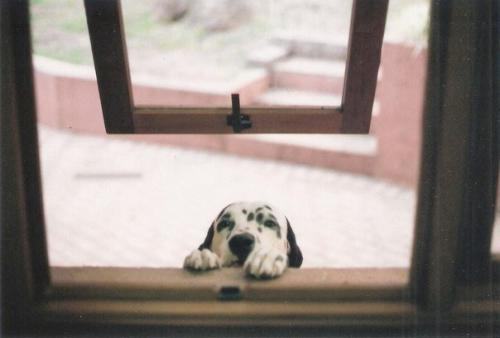 Когда ты искренне, всем сердцем любишь человека, ты не думаешь о том, что слишком много отдаёшь. 01