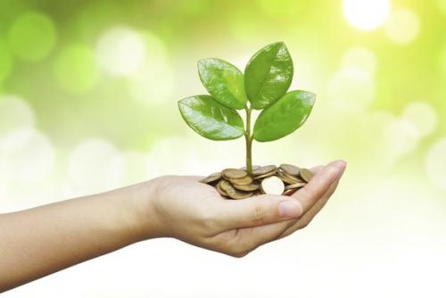 2 серьезные ошибки в отношениях с деньгами.