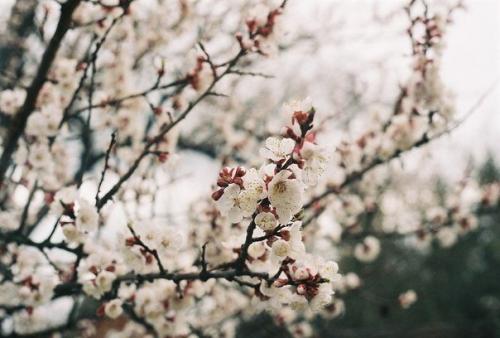 Когда ты искренне, всем сердцем любишь человека, ты не думаешь о том, что слишком много отдаёшь. 03