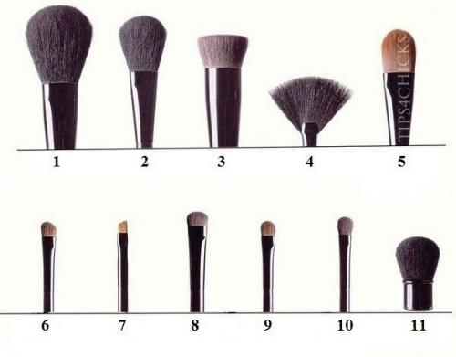 Для чего нужна каждая кисть: Для чего нужна каждая кисть: