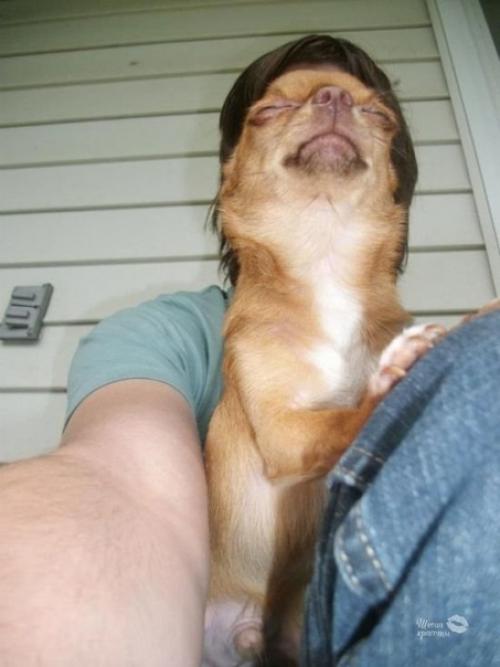 Из серии Показалось.