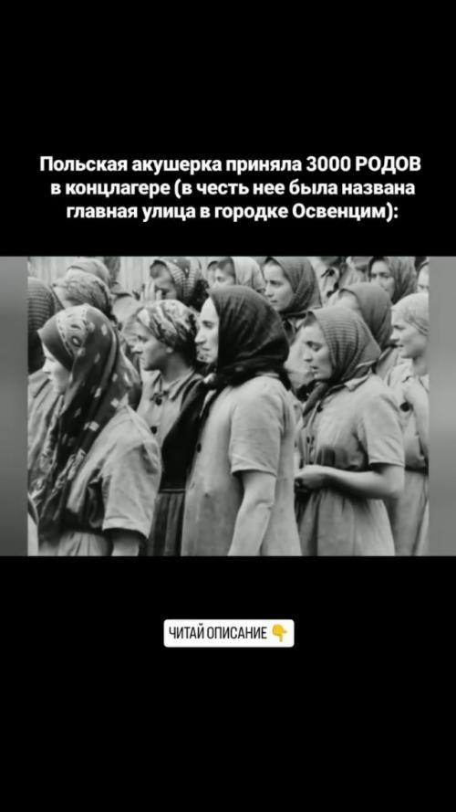 1. польская акушерка Станислава лещинская попала в освенцим в 1943. 02 1. польская акушерка Станислава лещинская попала в освенцим в 1943. 02