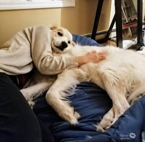 Из серии Показалось. 04