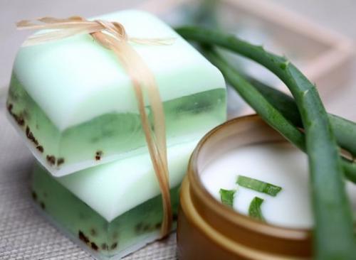 Как приготовить алоэ или как сделать алоэ максимально полезным.