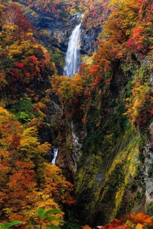 А осенью, как будто невзначай, в сады придёт морозная прохлада, я буду чаще пить горячий чай, любуясь апогеем листопада. 04