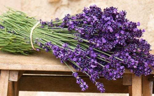 Очищение легких травами.

