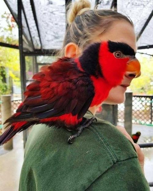 Из серии Показалось. 03