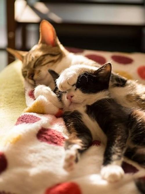 Что может дать один человек другому, кроме капли тепла? 04