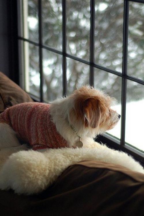 Что может дать один человек другому, кроме капли тепла? 02