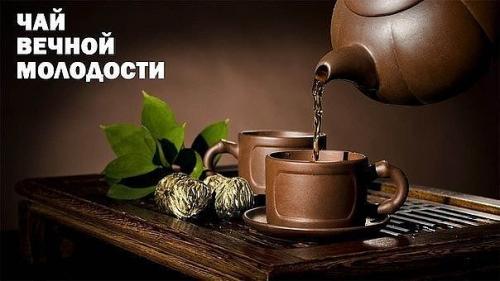 Совет дня.   Чай Вечной Молодости.