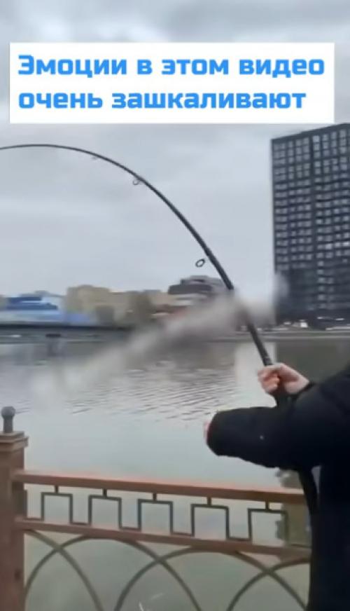 Эмоции пацанов! 

В Астрахани пацаны огромного толстолобика прямо в центре города поймали. 

