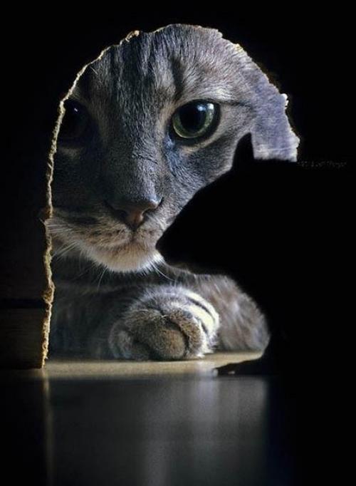 Это твоя жизнь только твоя. 