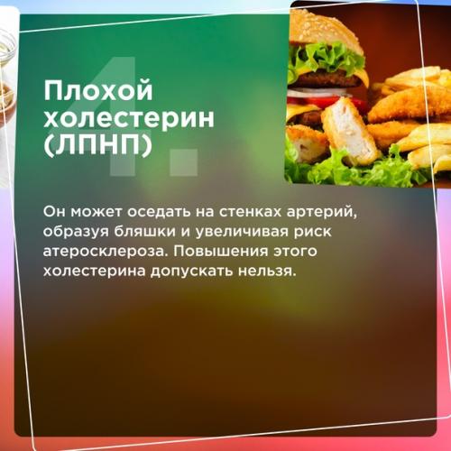 Пожалуй, каждый человек, который хоть немного заботится о своем здоровье, знает, что повышенный холестерин - это опасно. 04
