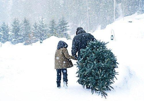 На что мы жизнь тратим! На что мы жизнь тратим!