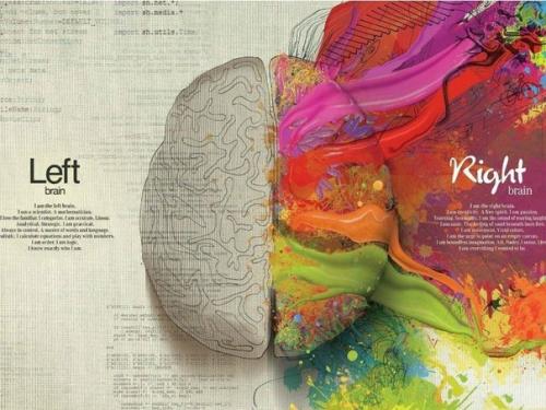 Как развивать полушария мозга?
