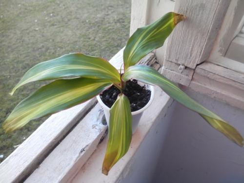 Добрый вечер группа. 01