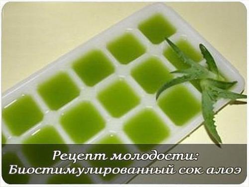 Рецепт молодости.

Очень эффективен именно биостимулированный сок алоэ.  