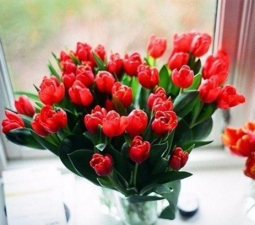 Февраль всегда Надежд полон. 01