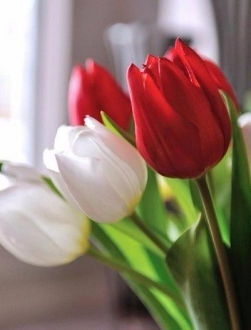 Февраль всегда Надежд полон. 02