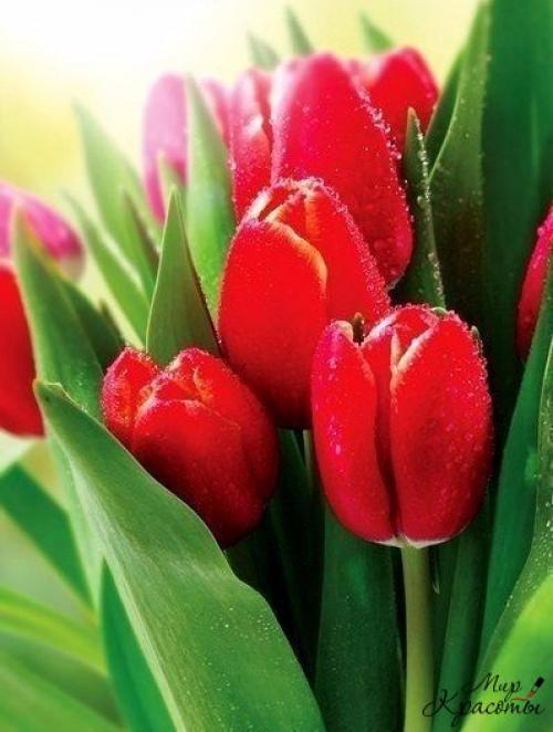 Февраль всегда Надежд полон. 05