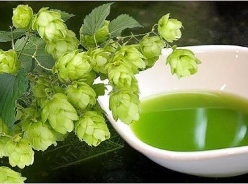 Хмель для укрепления волос. Хмель для укрепления волос.