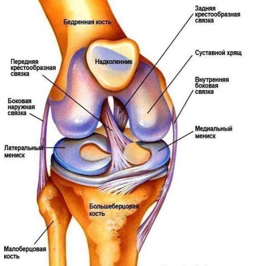 Про суставы. 

У вас проблема с суставами.  