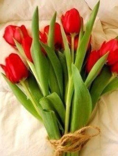 Февраль всегда Надежд полон. 03