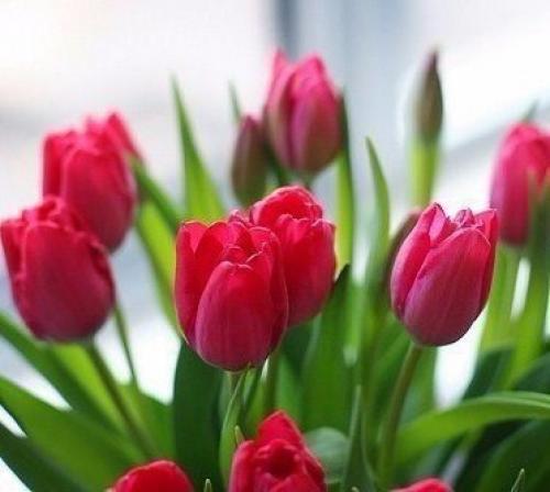 Февраль всегда Надежд полон. 04