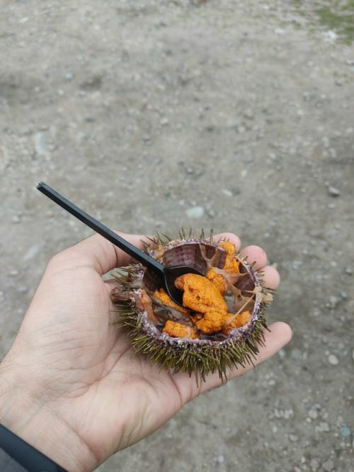 Какая еда заставляет вас задаваться вопросом: 