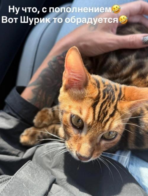 Супруг Насти ивлеевой устроил ей трогательный сюрприз на день рождения. 02